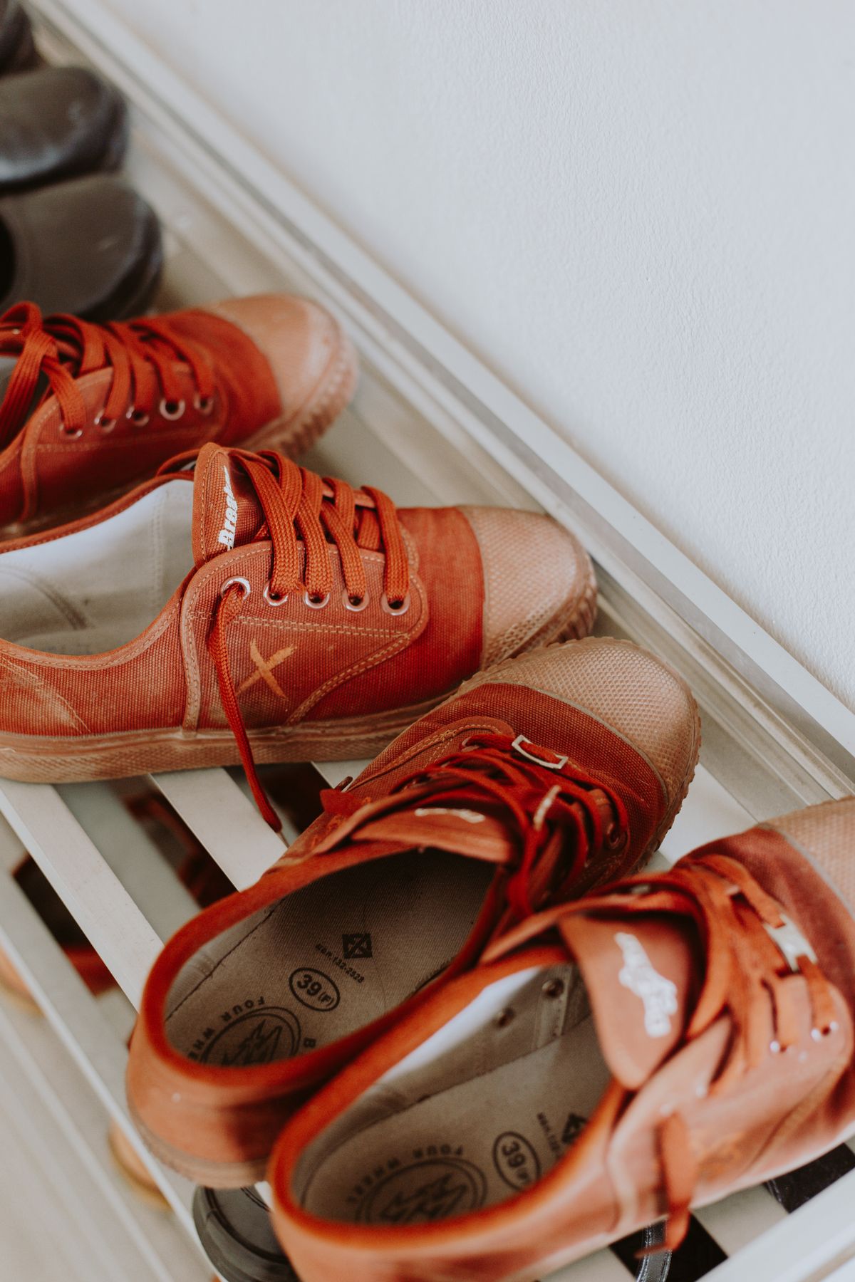Canvas trainers stored together on a shoe rack